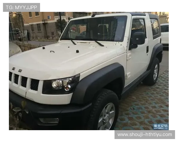 HTHVIPVIP体育官网APP最新版本下载途径及安全安装技巧全攻略